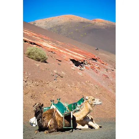 Paula 科斯塔特吉塞